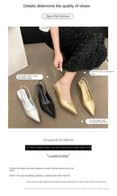 Women’s Fashion Pumps